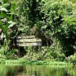 Tortuguero Clasicos - 2 Tours: Canoe and day hike - FAQ