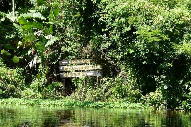 Tortuguero Clasicos - 2 Tours: Canoe and day hike - FAQ
