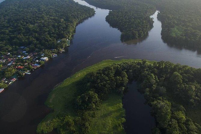 TORTUGUERO MOST POPULAR: Canoe and night tour (Jul-Oct turtle) - The Sum Up