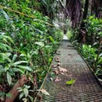 Tortuguero National Park - Admission Ticket - The Itinerary Breakdown