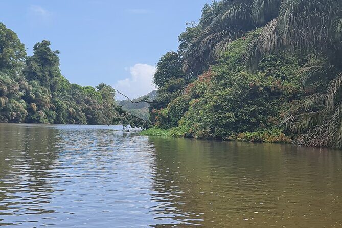 Tortuguero One Day. Private Tour from San Jose - Who Should Consider This Tour?