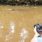 Total Tortuguero Canoe or Kayak+hike+NW(Tortugas from Jul-Oct) - Authentic Experiences and Real Reviews