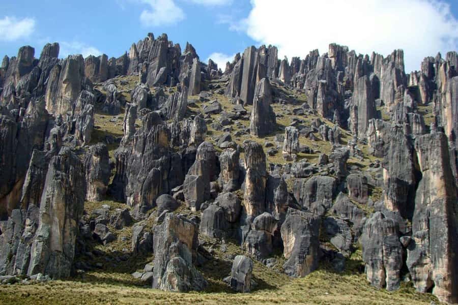 Tour 10 Hours Pillones Waterfall and Puruña Stone Forest - The Sum Up
