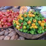 Tour a Jamaican Farm - Authentic Farming Insights and Realistic Expectations