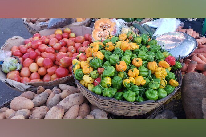 Tour a Jamaican Farm - Authentic Farming Insights and Realistic Expectations