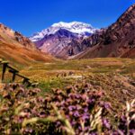 Tour Aconcagua Park in Small Group from Mendoza with Barbecue Lunch - Final Thoughts: Is This Tour Right for You?