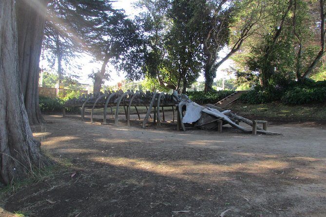 Tour around Biobío River Estuary & Pedro del Río Zañartu Museum - Practical Tips for Visitors