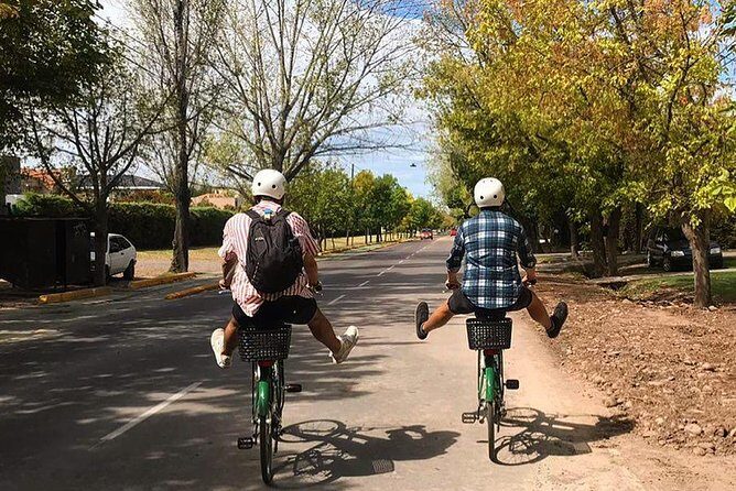 Tour autoguiado en bicicleta por Luján de Cuyo (Mendoza) - Final Thoughts