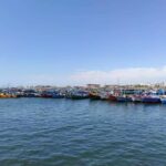 Tour: Ballestas Islands and the Paracas National Reserve - Analyzing the Value and Practicality