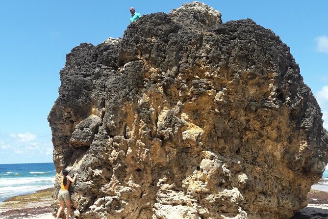 Tour Barbados Your Way - Who Should Consider This Tour?