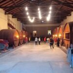 Tour Bodega y Olivícola con Almuerzo en Maipú - FAQs