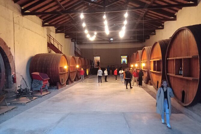 Tour Bodega y Olivícola con Almuerzo en Maipú - FAQs