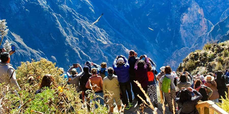 Tour - Colca Canyon Trekking 2D1N with Final in Puno - Exploring the Itinerary in Detail
