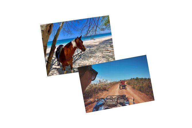 Tour Combo - WRCT Adventures Private Horseback & ATV/UTV Rides - Who Will Love This Experience?