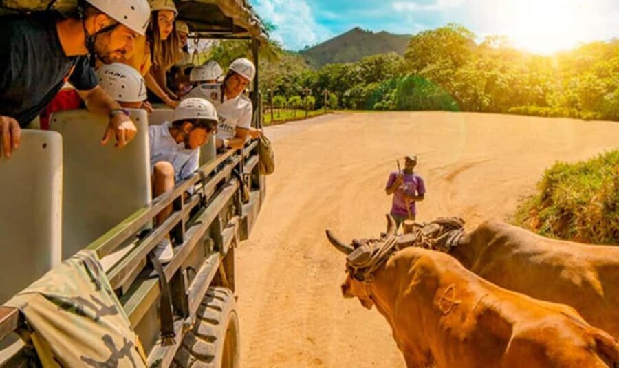 Tour Cultural For Small Group Visit Basilica Higuey - Who Is This Tour Best For?