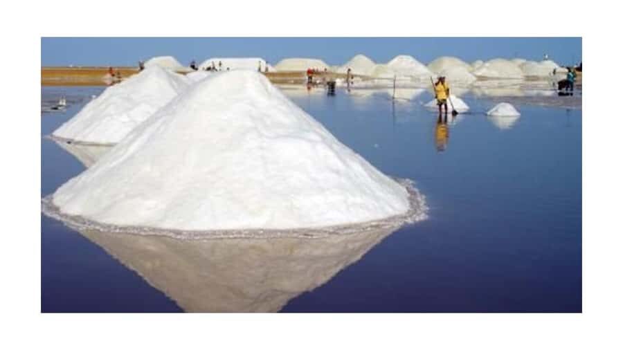 TOUR DE 2 DIAS AL CABO DE LA VELA, LA GUAJIRA - A Deeper Look at the Experience