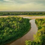 Tour en Kayak +Isla de los Monos full day - A Detailed Look at the Tour Experience