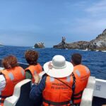 Tour from Lima to Palomino Islands - A Closer Look at the Itinerary