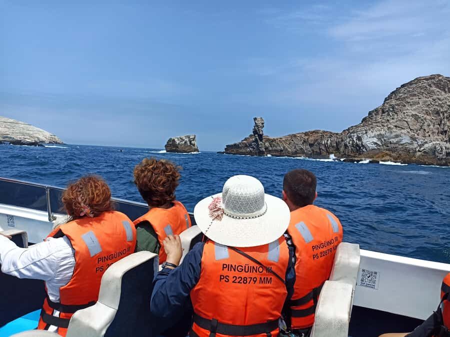 Tour from Lima to Palomino Islands - A Closer Look at the Itinerary