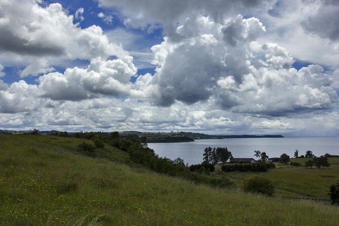 Tour Frutillar - Who Will Love This Tour?