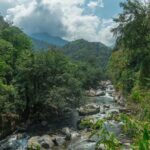 Tour Gotsezhy - What Travelers Say