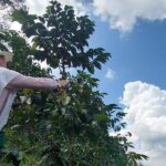 Tour Guatape and Coffee - First Stop: Peñol Rock (La Piedra del Peñol)