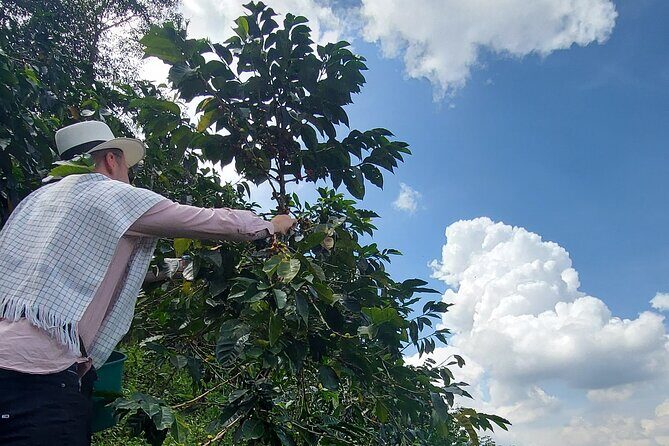 Tour Guatape and Coffee - First Stop: Peñol Rock (La Piedra del Peñol)
