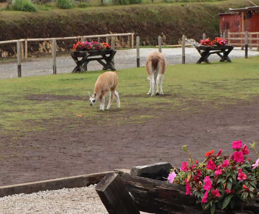 Tour Guatape Privado: Todo incluido de 2 a 4 personas - Final Thoughts: Is This Tour Right for You?