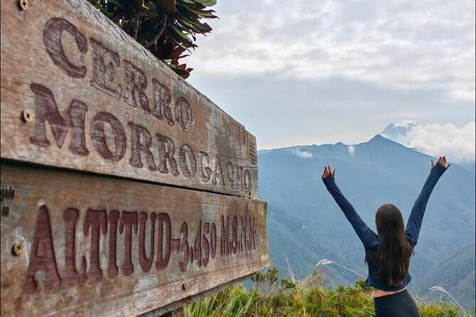 Tour hill Morrogacho Cocora Valley - Why This Tour Stands Out