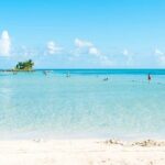 Tour in Pontoon to the Aquarium Bahia Palito, Mangroves, Rocky Cay - Who Is This Tour Best For?