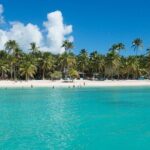 Tour in Saona Island from Santo Domingo - In-Depth Review of the Saona Island Tour