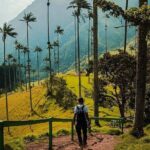 Tour in the Cocora Valley short - What’s Included and How the Tour Works