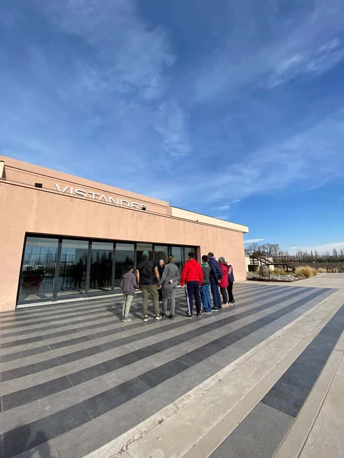Tour of 3 wineries in Maipú with lunch + olive groves - A Detailed Look at the Mendoza Winery Tour