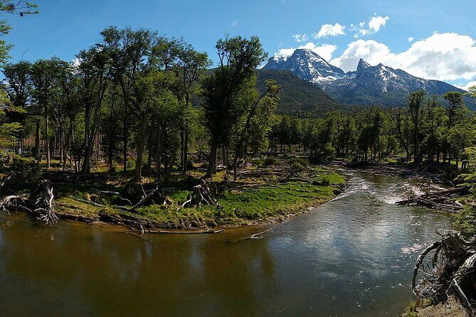 Tour of Puerto Almanza and Punta Paraná in Ushuaia - Why This Tour Offers Great Value
