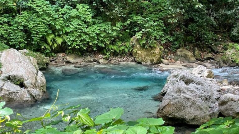 Tour por el Sendero Acuático La Plaza ¡TODO INCLUIDO! - Final Thoughts