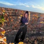 Tour Privado: Bodegas por el día en Mendoza - Pricing and Value