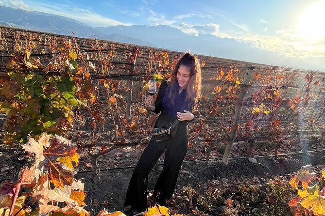 Tour Privado: Bodegas por el día en Mendoza - Pricing and Value