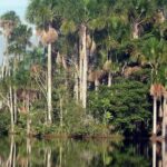 Tour Puerto Maldonado - Diving Deeper into the Puerto Maldonado Experience