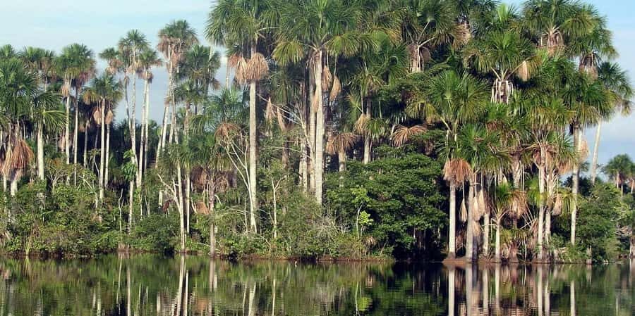 Tour Puerto Maldonado - Diving Deeper into the Puerto Maldonado Experience