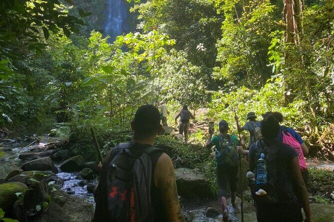 Tour Shaman medicinal plants and waterfalls - Final Thoughts: Is This Tour Worth It?