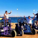 Tour the Paracas National Reserve in a MiniBuggy - Final Thoughts: Is It Worth It?