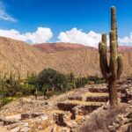 Tour to Cachi from Salta - Practical Tips for Travelers
