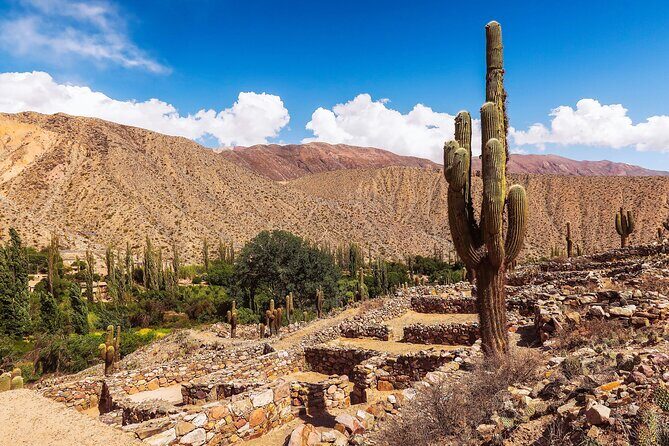 Tour to Cachi from Salta - Practical Tips for Travelers