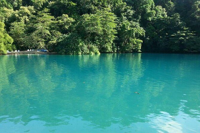 Tour to Fern Gully and Konoko Falls and Park - Who Will Love This Tour?