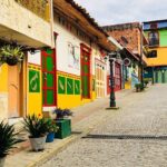 Tour to Guatapé more Farm of the llamas and the Alpacas - An In-Depth Look at the Tour