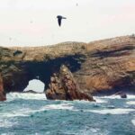 Tour to Huacachina and Paracas full day - Who Would Enjoy This Tour?