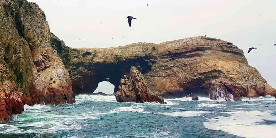 Tour to Huacachina and Paracas full day - Who Would Enjoy This Tour?