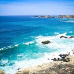 Tour to La Plata island and whales watching - Final Thoughts: Is This Tour for You?