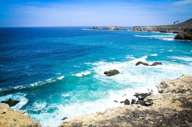 Tour to La Plata island and whales watching - Final Thoughts: Is This Tour for You?