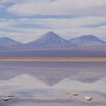 Tour to Laguna Cejar, Ojos del Salar and Laguna Tebinquiche - Final Thoughts